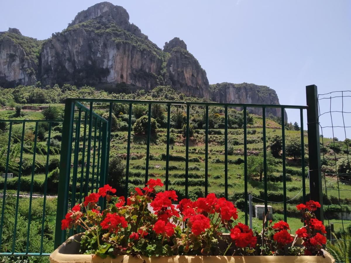 Bed & Breakfast Taccu Maccu