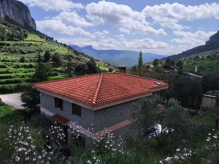 Taccu Maccu * Ulassai